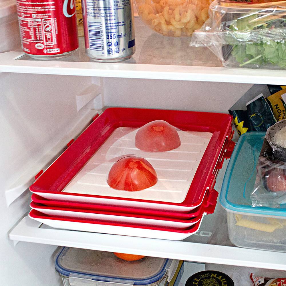 Creative Reusable Food Storage Tray Baby & Kid Feeding Kitchen Essentials Set : 2 Trays|4 Trays Creative Reusable Food Storage Tray Baby & Kid Feeding Kitchen Essentials Set : 2 Trays|4 Trays