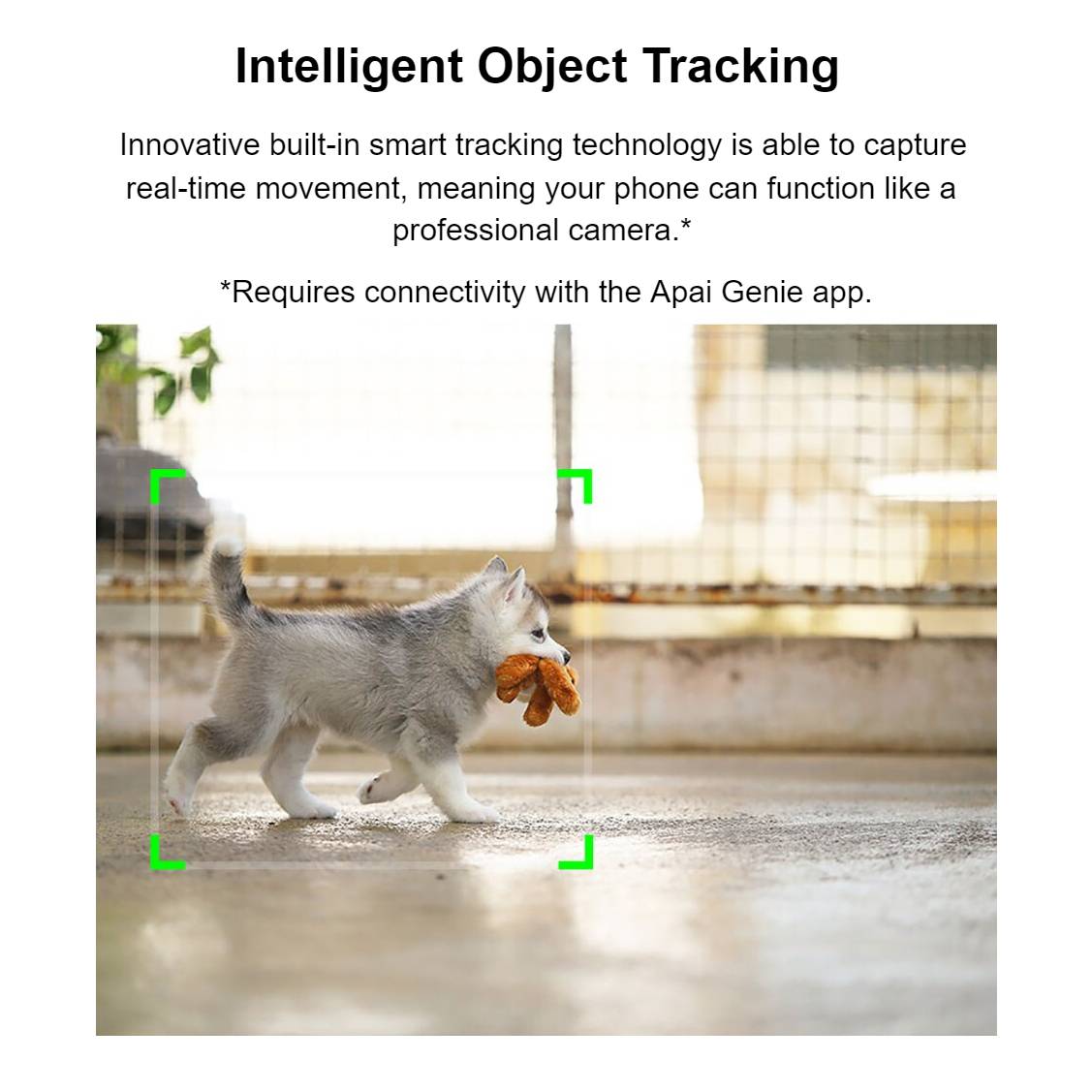 Robot Cameraman Kids’ Electronics Teens Must-Haves Robot Cameraman Kids' Electronics Teens Must-Haves